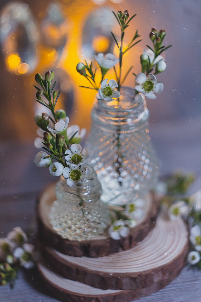 Photograph by Алла Семенова