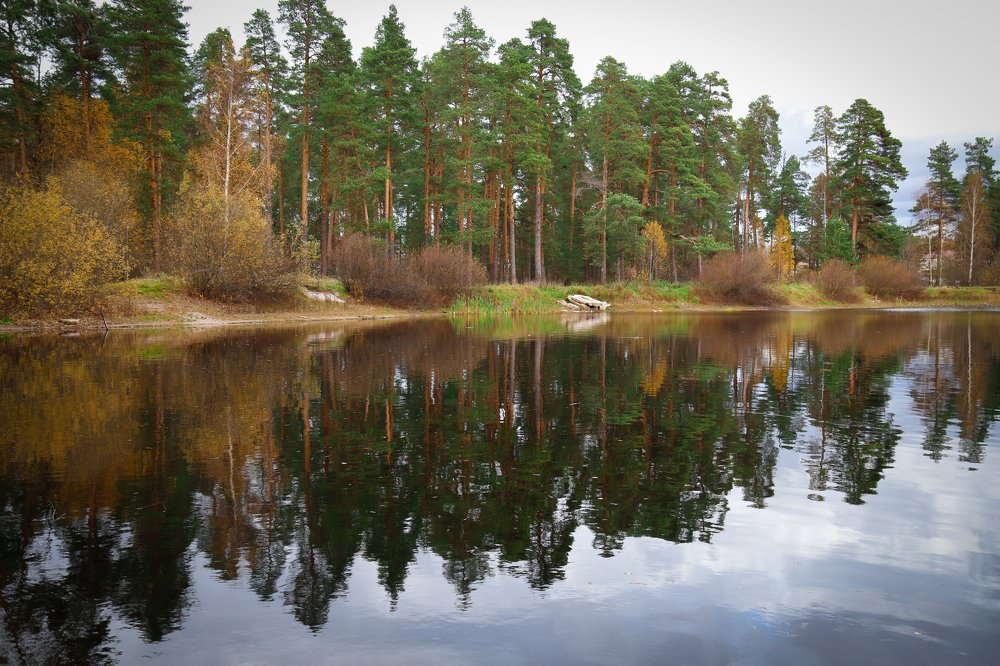 Photograph by Елена Буканина