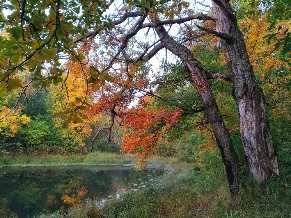 Photograph by Алексей Ялышев