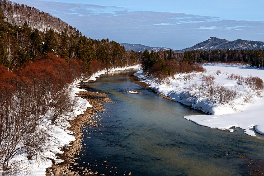 Предчувствие весны