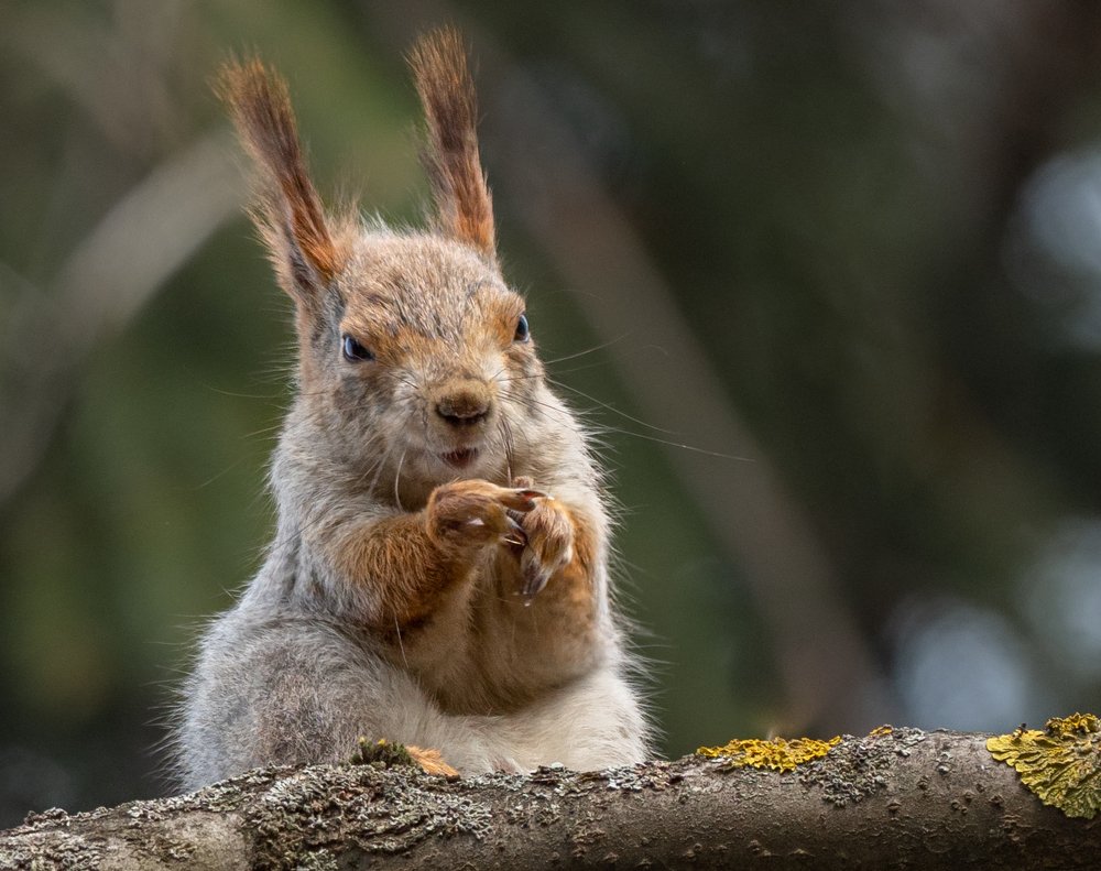 Белкина фотосессия