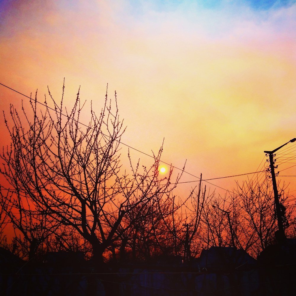 Photograph by Людмила Яненко