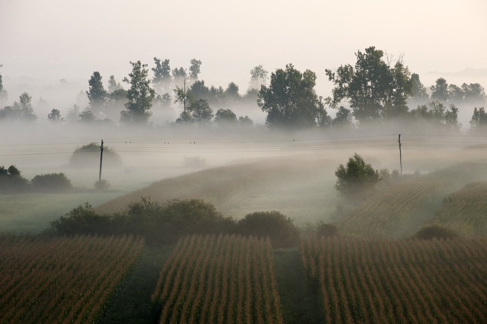 Photograph by Breda Mijović