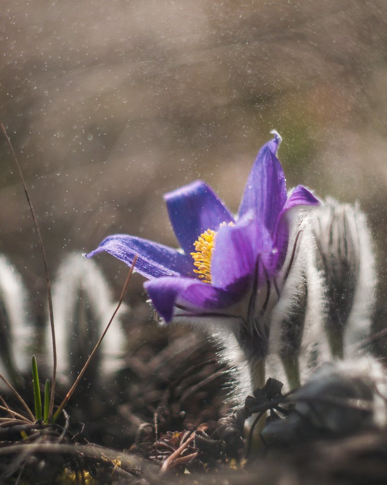 Photograph by Динара Зуйкова