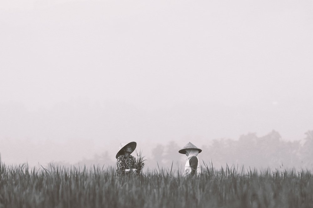 Photograph by Hariansyah Teguh