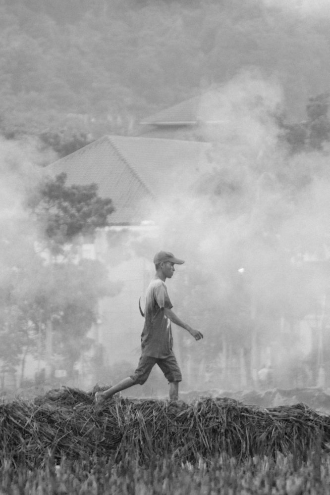 Photograph by Hariansyah Teguh