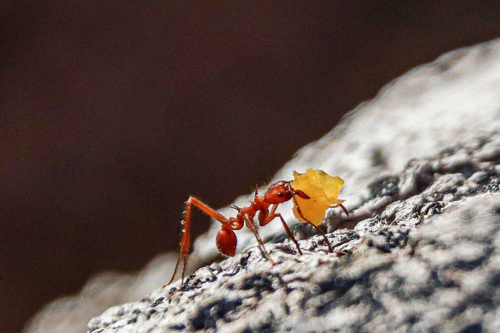 Photograph by Randall Sánchez