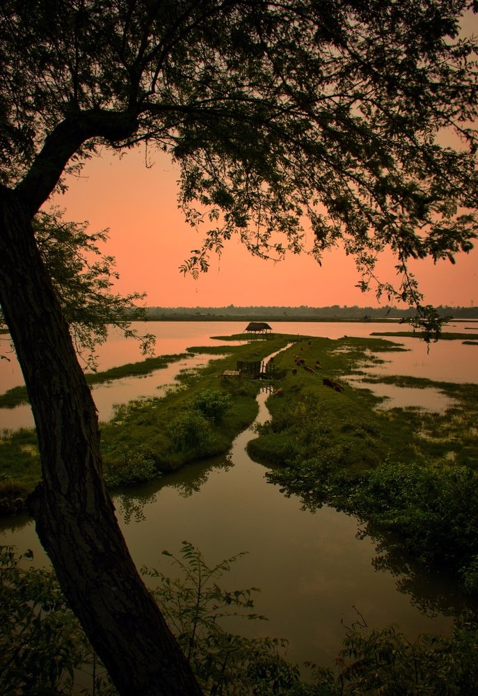 Photograph by DEBANJAN JANA