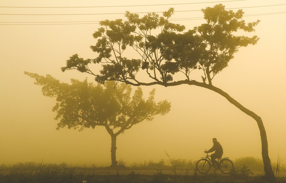 Фотография автора Mahir Anjum