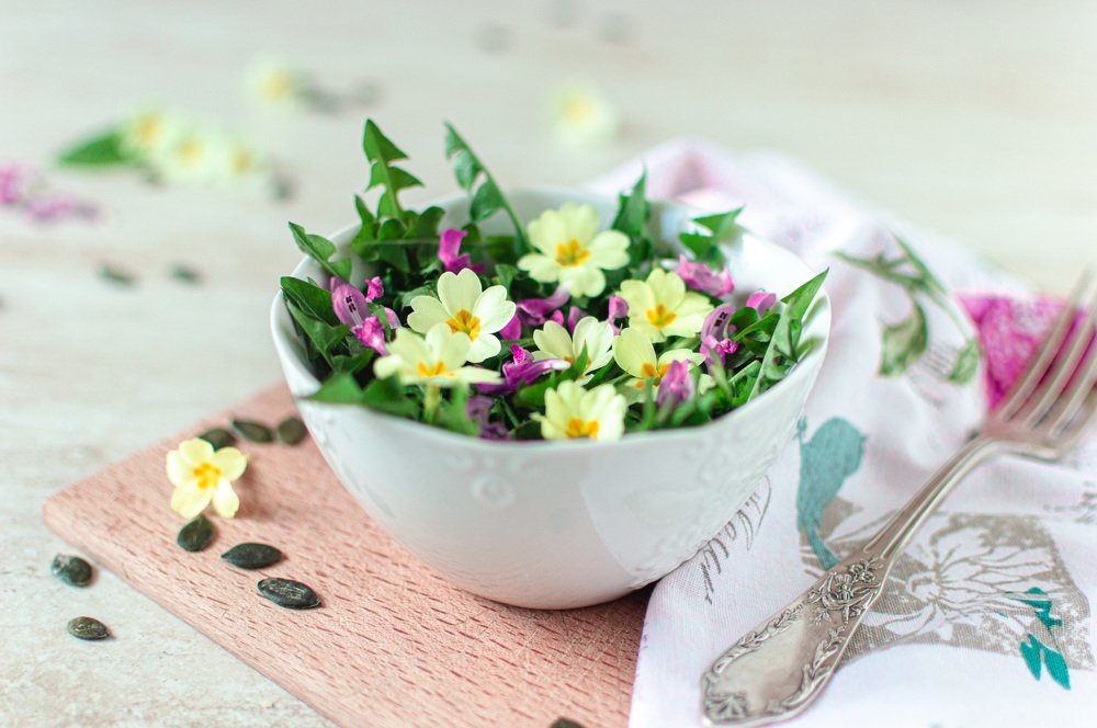 Photograph by Melita Močnik Okorn