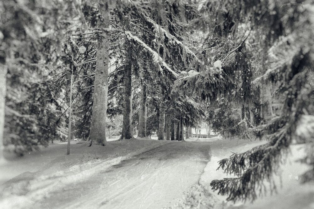 Photograph by Игорь Камов