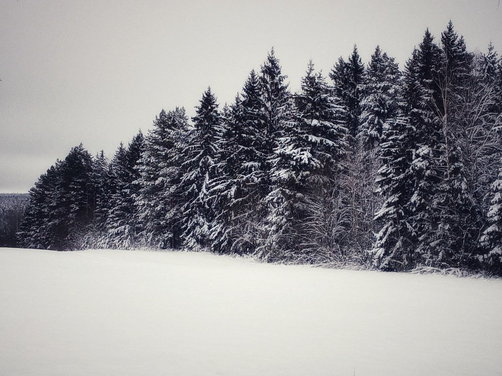 Photograph by Veronica Kravchonok