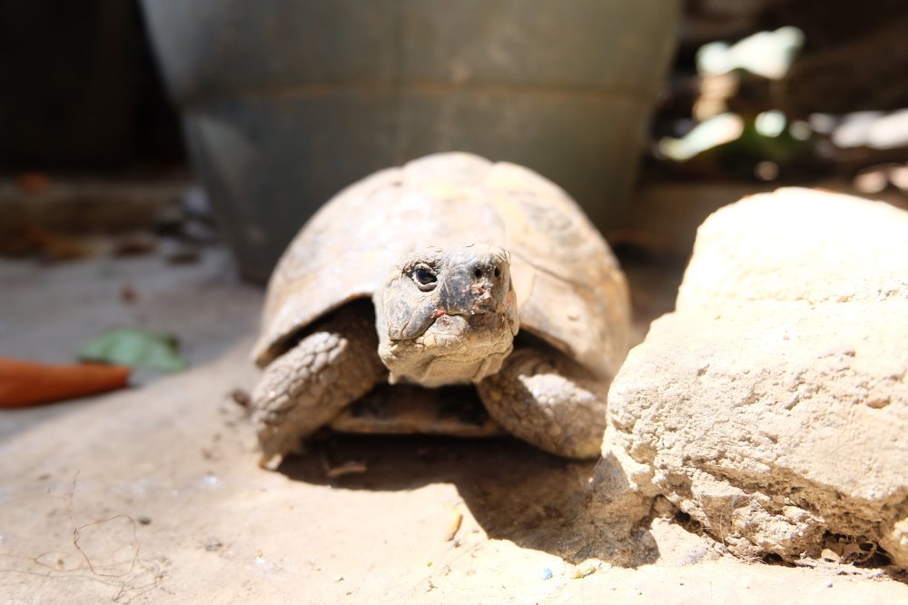 Photograph by tugba erdoganlar