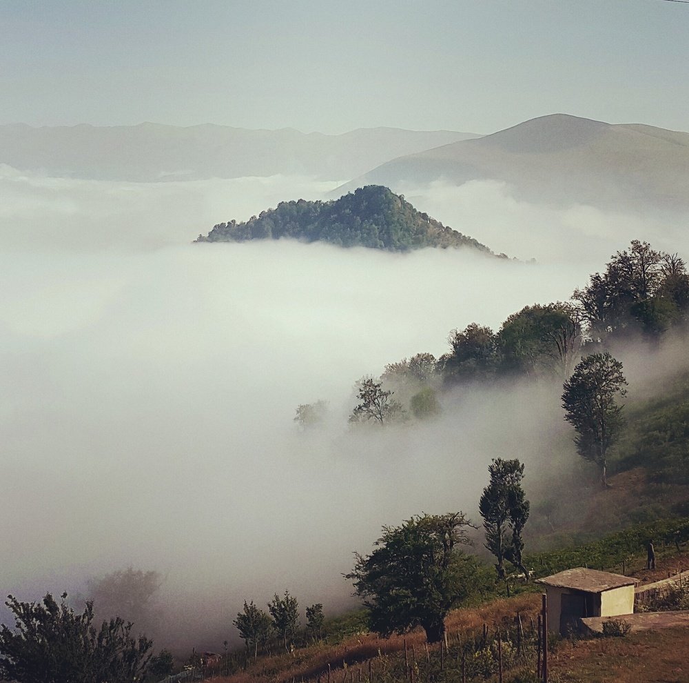 Photograph by Hadi Jabbarian fam