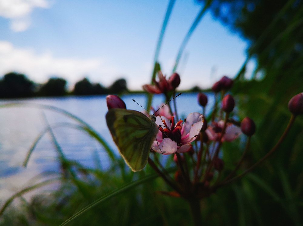Photograph by Ирина Скворцова