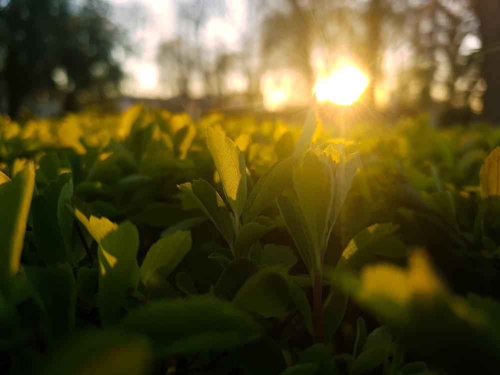 Photograph by Георгий Сергеев