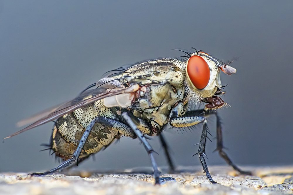 Фотография автора NeCoTi ChonTin