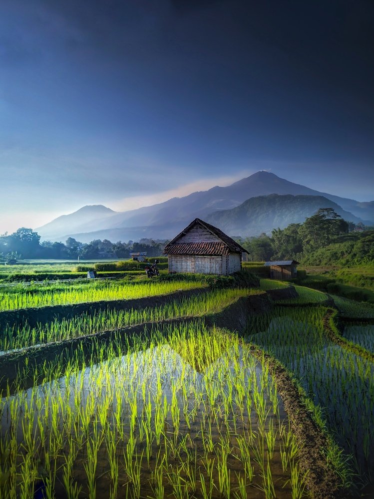 Photograph by Beto Junianto