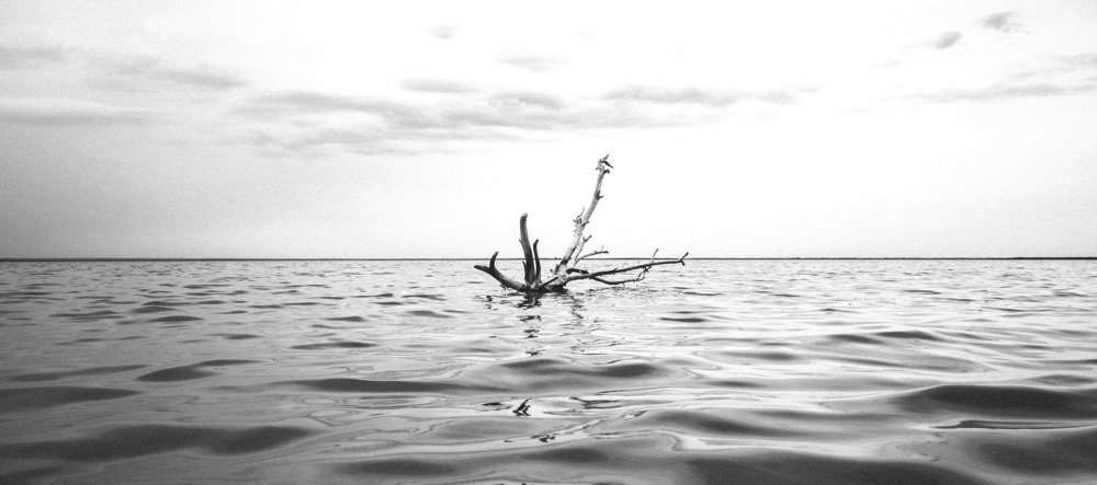 Photograph by Максим Куценко