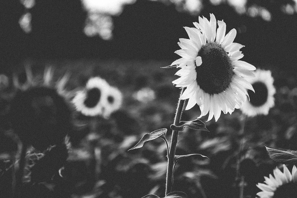 Photograph by Максим Куценко