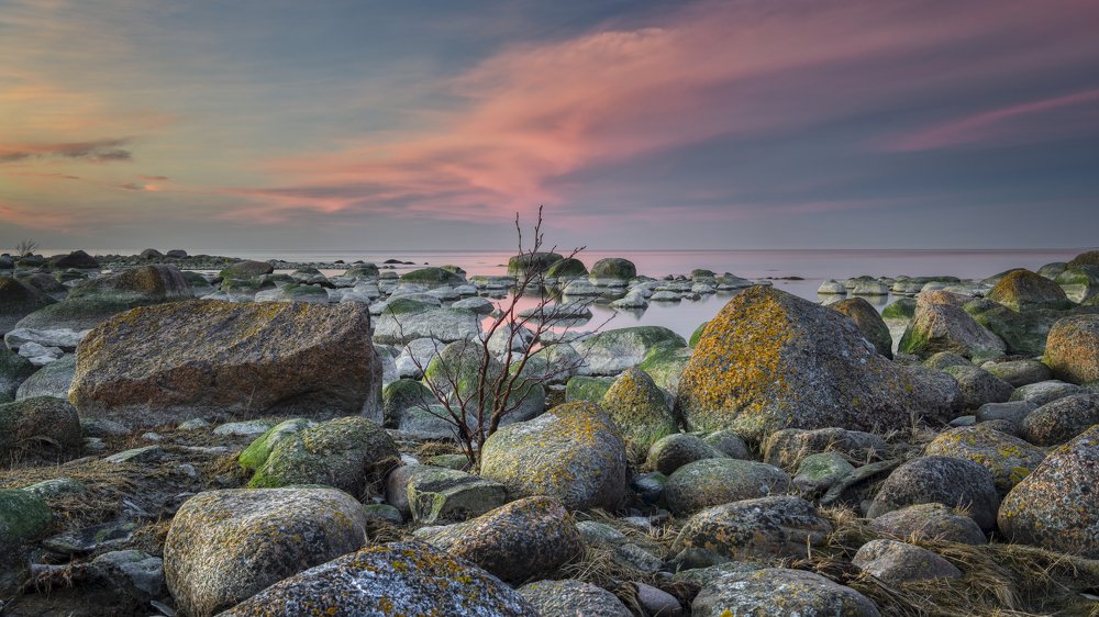 Photograph by Эдуард Горобец