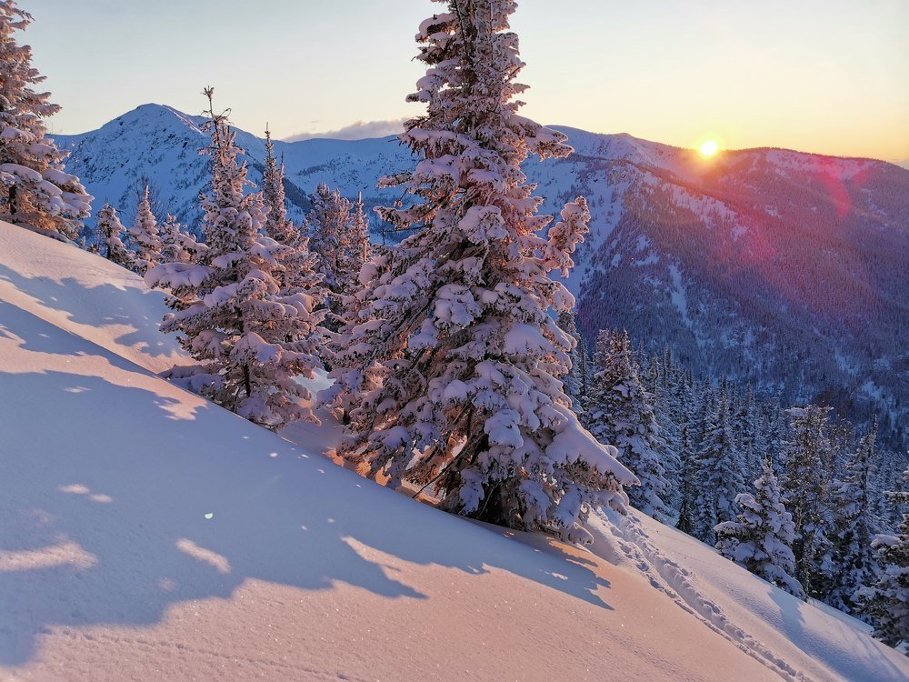 Photograph by Елена Гомзикова