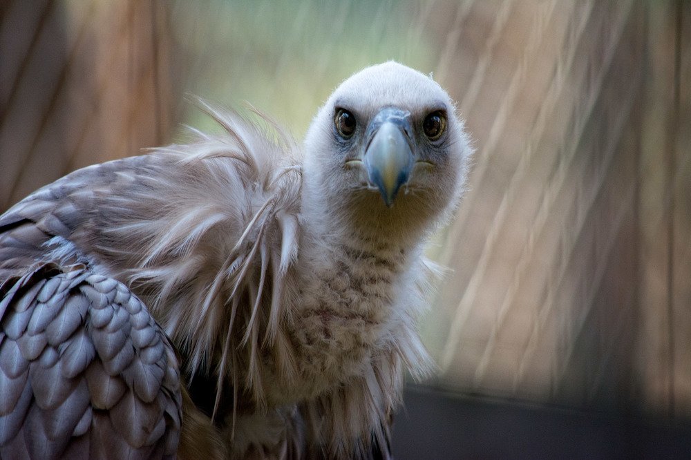 Photograph by Анастасия Попельская