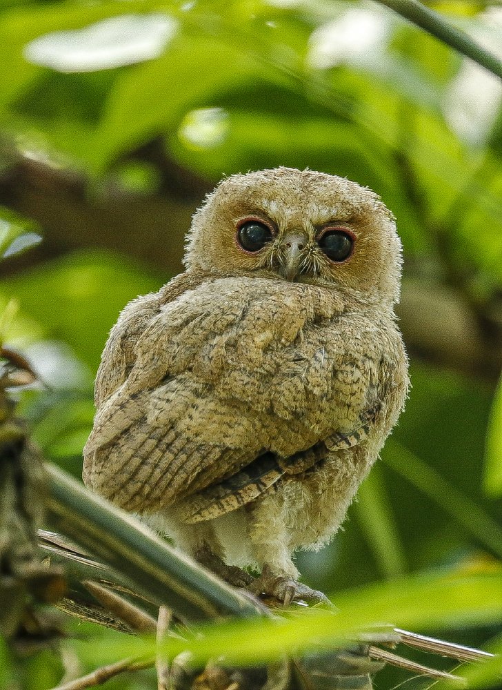 Photograph by Shafiullah Hares