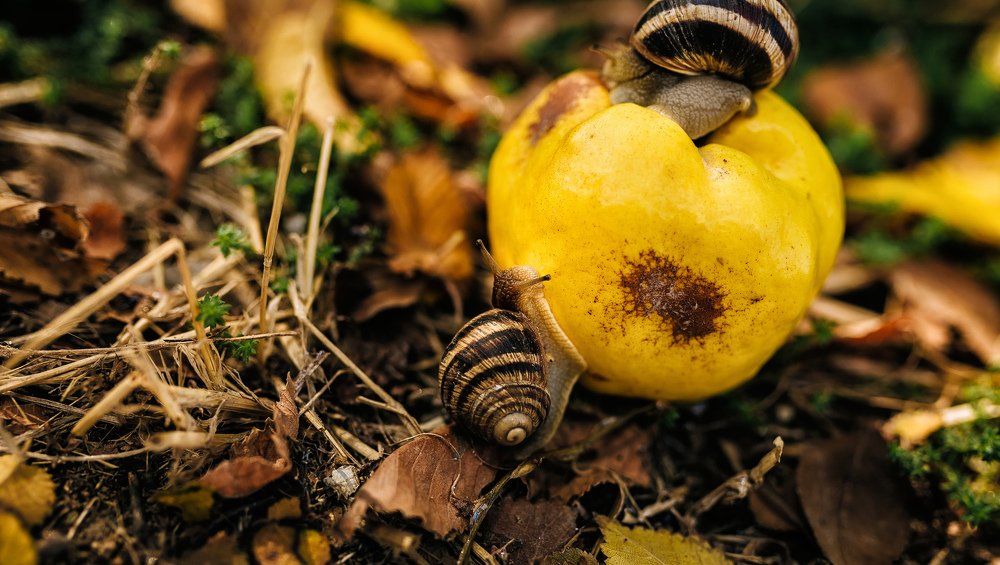 Photograph by Сергей