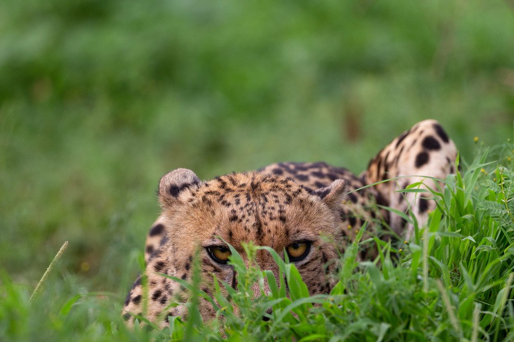 Photograph by Limor Bahar