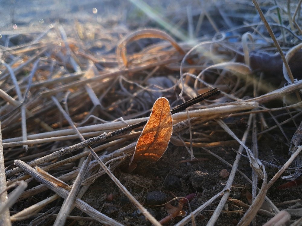 Photograph by Наталья Ерёменко