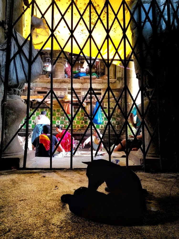 STAY HOME. SAVE LIVES.