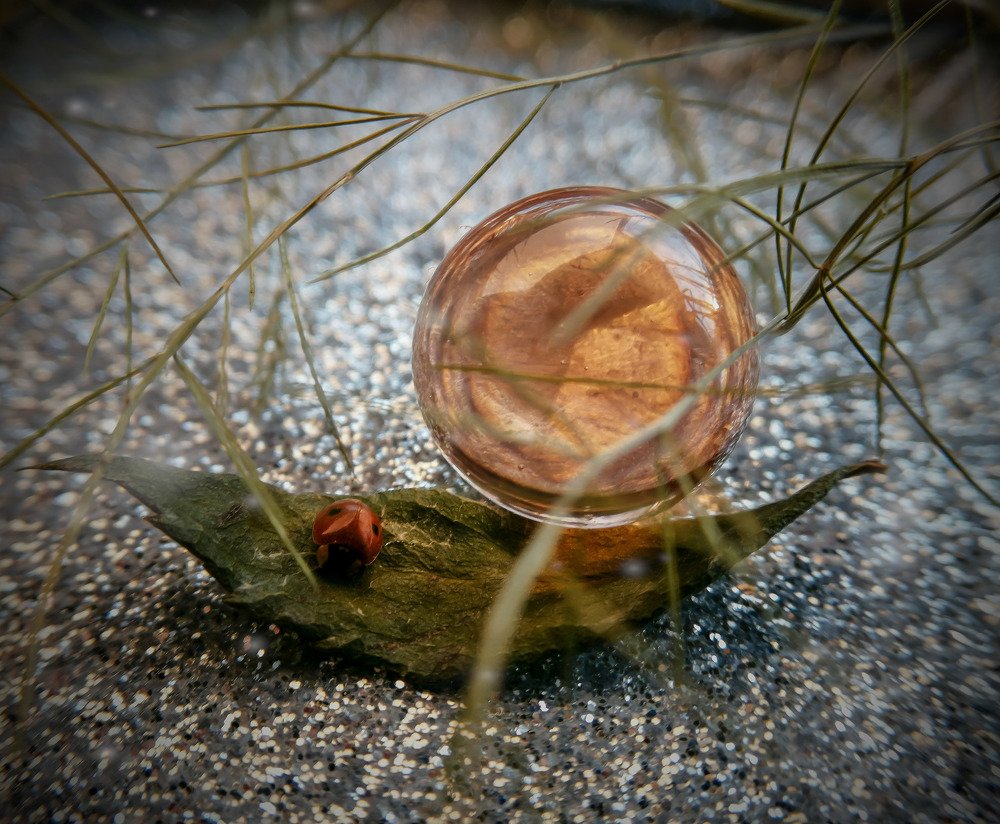 Photograph by Дарья Демина