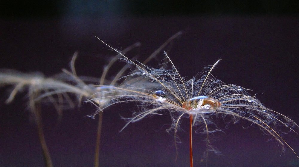 Photograph by Надежда Батракова