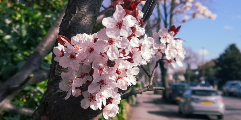 Photograph by Cristina          ( Cristinas_Pe Caniliuc