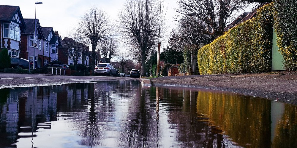 Photograph by Cristina          ( Cristinas_Pe Caniliuc