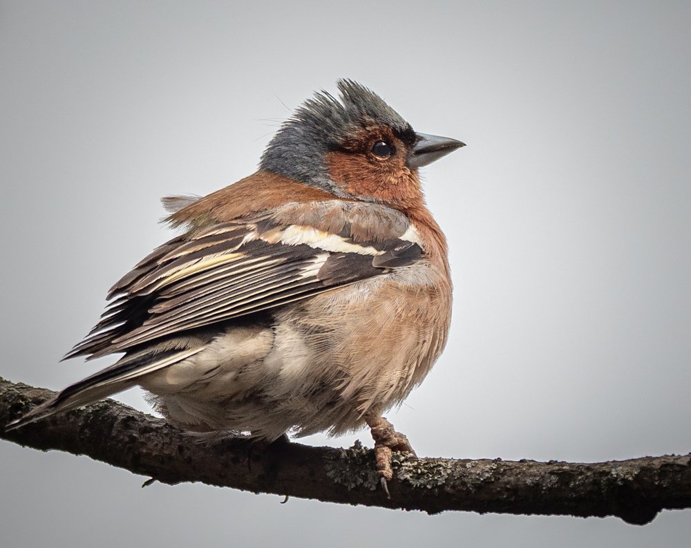 Photograph by Курлянцев Алексей