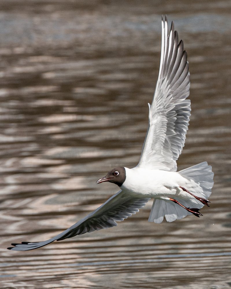 Photograph by Марк Ильин