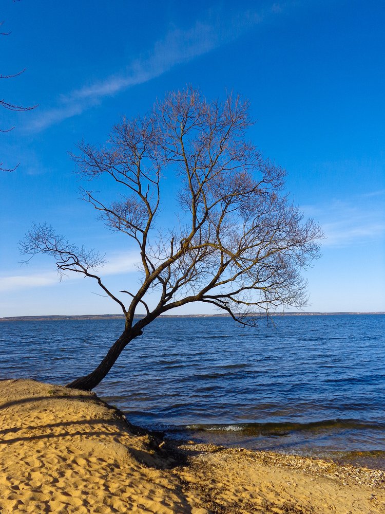 Природный минимализм.