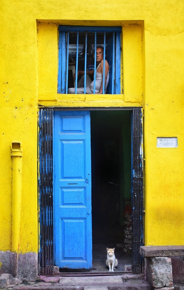 Stay at Home Stay Safe