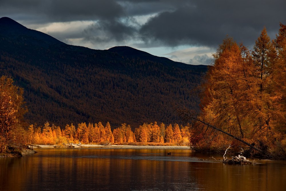 Осенние контрасты