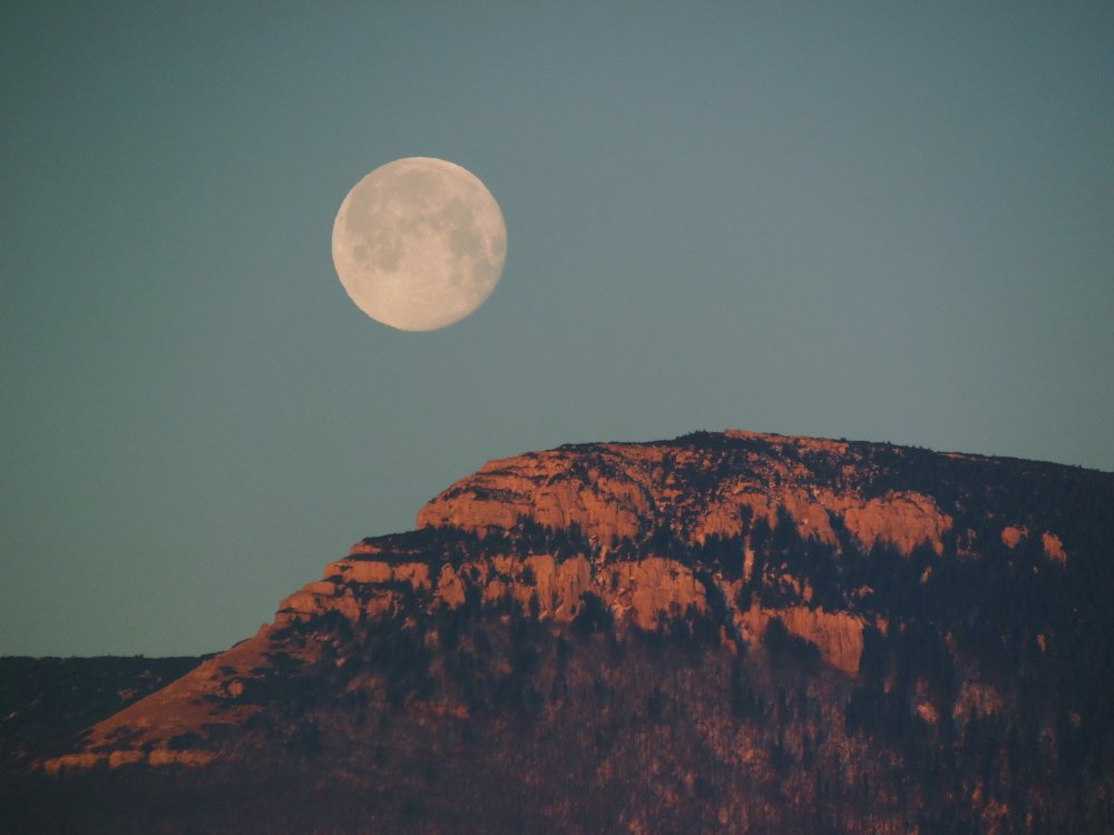 Photo #4521359