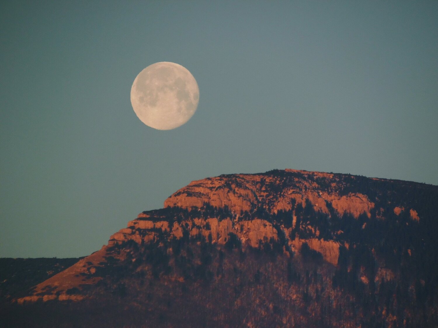 Photo #4521359