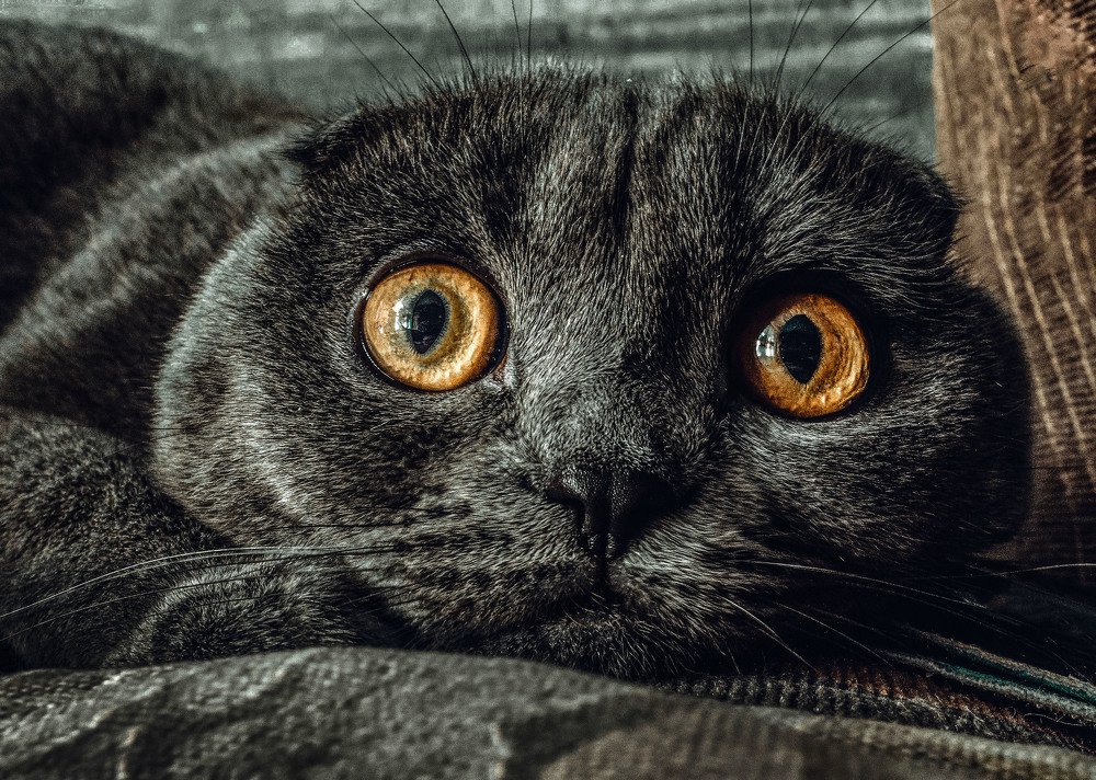 Photograph by Ирина Федорова