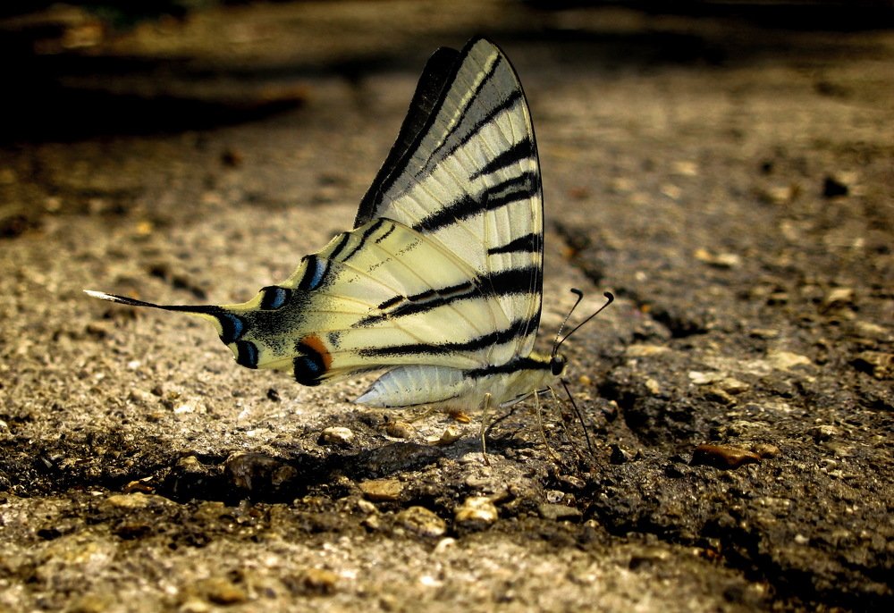 Photograph by Ирина Федорова