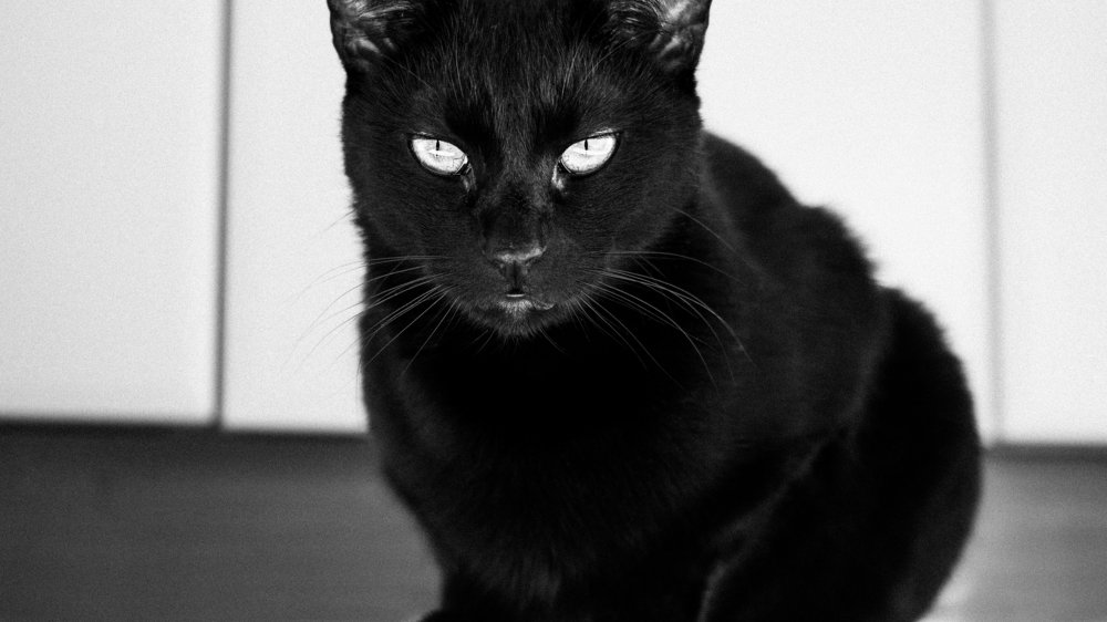 Photograph by Партен