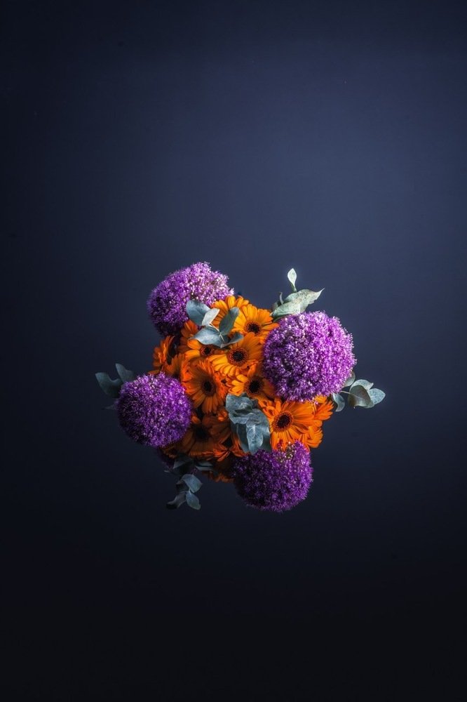 Вирусы жизни