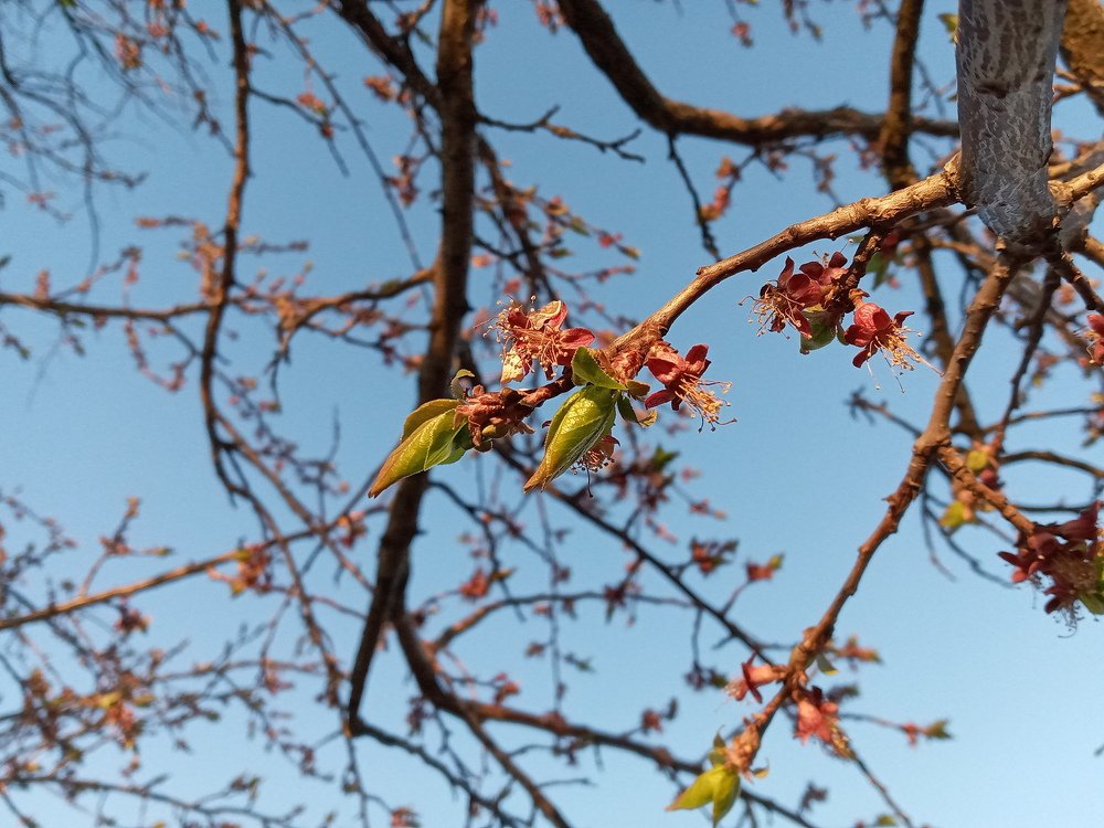 Photograph by Карина Винокуровая