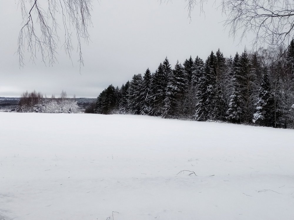 Photograph by Veronica Kravchonok