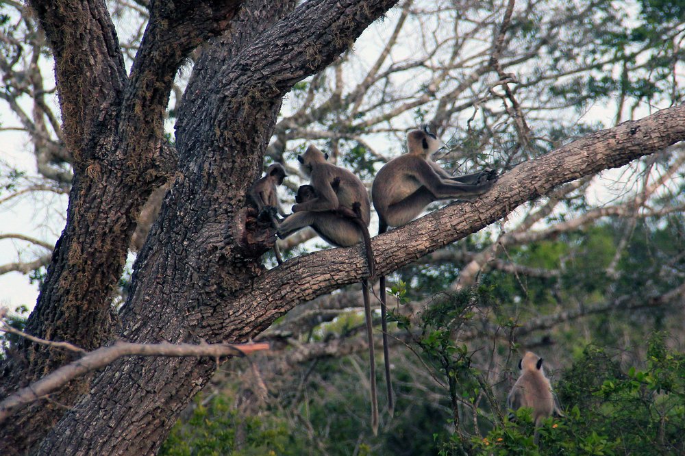 Photograph by Claudia Freitas